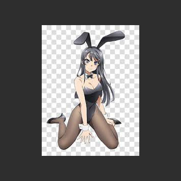 photo of alina  chopra, Jr.